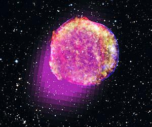 Fermi Shows That Tycho's Star Shines in Gamma Rays