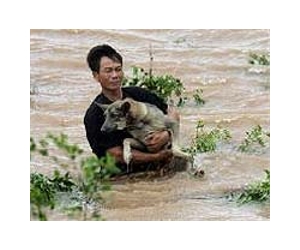 Two dead after Typhoon Son-Tinh hits Vietnam