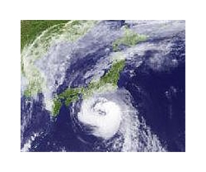 Deadly Typhoon Dianmu cuts across Japan