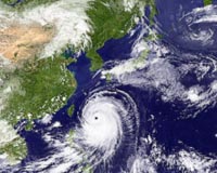 Flooding, havoc in Japan as Typhoon Neoguri batters mainland
