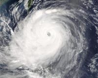 Typhoon Nuri gathers strength near Philippines: forecaster