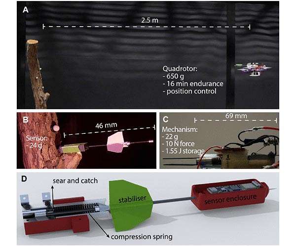 Drones that patrol forests could monitor environmental and ecological changes