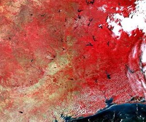 Pioneering UK project to improve land carbon intelligence accuracy and reliability