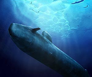 Newly Developed Cloak Hides Underwater Objects From Sonar