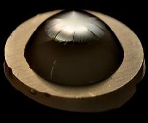 Physicists discover mechanisms of wrinkle and crumple formation