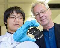Physicists develop ultrathin superconducting film