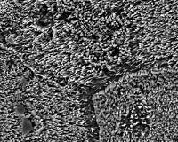 Group blazes path to efficient, eco-friendly deep-ultraviolet LED