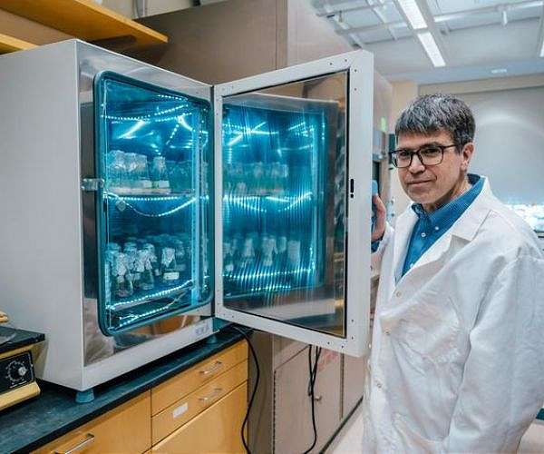 Fungi tested as space building blocks for moon and Mars