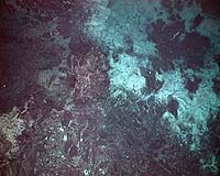 MU Researcher To Study Volcanism With Under-Ocean Sensors