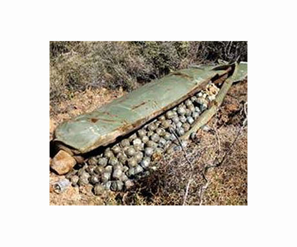 Lithuanian MPs vote to quit convention on cluster munitions