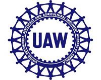 UAW halts strike at China-owned US auto plant