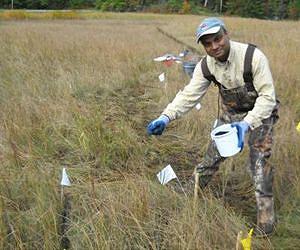 New low-cost, nondestructive technology cuts risk from mercury hot spots