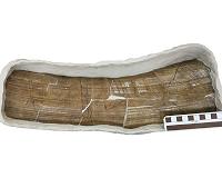 New evidence that humans settled in southeastern US far earlier than previously believed