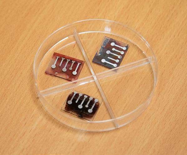 Scientists have proposed a new material for perovskite solar cells