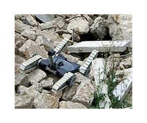 Robot may be useful in search and rescue