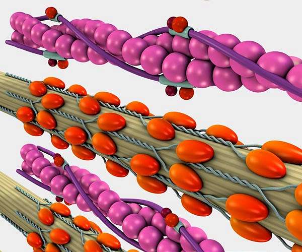 Protein Production Tested in Microgravity for Sustainable Space Missions