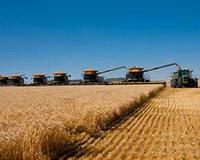 US farmers caught in trade war with China