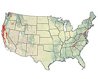 Population migration cuts energy use