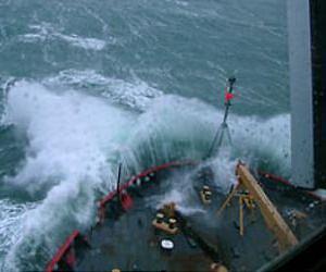 Even in winter, life persists in Arctic Seas