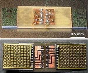 Thermal-Powered, Insectlike Robot Crawls Into Microrobot Contenders' Ring
