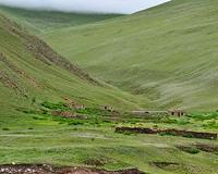 Biodiversity belowground is just as important as aboveground