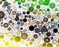 Can fertilized phytoplankton help cool the planet?