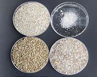 A 'bran' new way to preserve healthy food with natural ingredients
