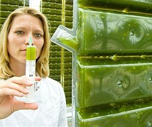 German power plant testing CO2-scrubbing algae