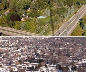 New study demonstrates the role of urban greenery in CO2 exchange