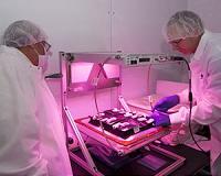Veggie Plant Growth System Activated on International Space Station