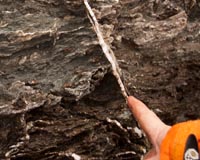 Life Might Thrive a Dozen Miles Beneath Earth's Surface