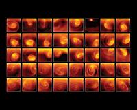 A polar vortex of Venusian color