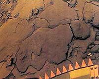 The Venusian Climate And Its Evolution