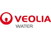 Veolia reports loss, sees recovery, and shares surge