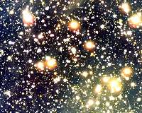 Building a family tree of stars