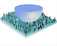 Research details sticky situations at the nanoscale