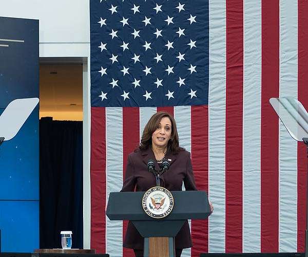 The coconut tree presidency? Harris memes break the internet