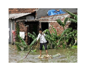 Five dead as Typhoon Wutip batters Vietnam