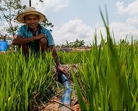 Paris climate agreement cannot be met without farming emissions cuts