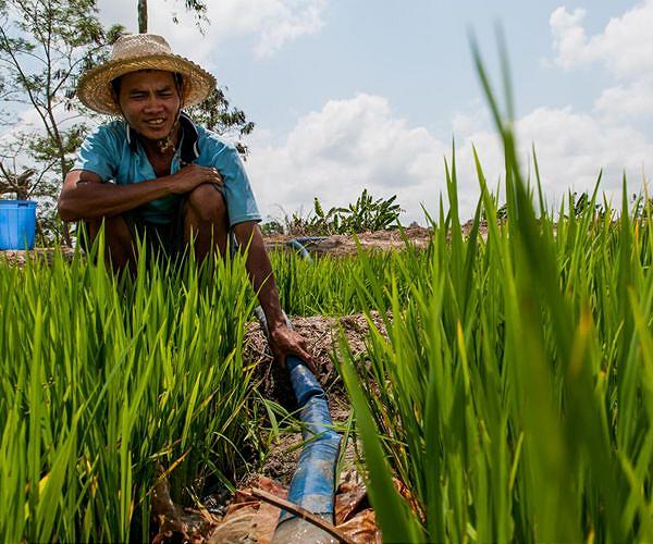 Vietnam's 'wave of repression' threatens climate goals: rights groups