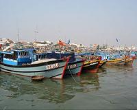 OECD warns on fishing capacity as Asia share grows