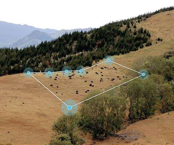 No fences needed: GPS collars show 'virtual fencing' is next frontier of livestock grazing