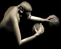 Chinese scientists create 'autistic' monkeys