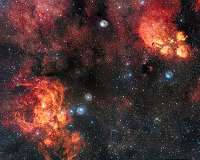 Celestial cat meets cosmic lobster