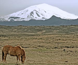 Iceland receives Chinese request for land purchase: ministry