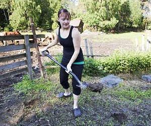 Volunteers join scientists in finding out who gets rid of cow dung
