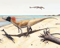 Giant bird-like dinosaur species found in China: study