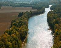 Plant more trees to save Britain's rivers from climate change