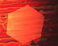 Faster, more precise, more stable: Study optimizes graphene growth