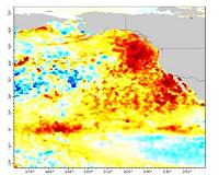 'Warm blob' in Pacific Ocean linked to weird weather across the US